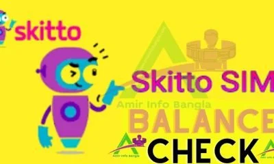 Skitto sim Balance Check