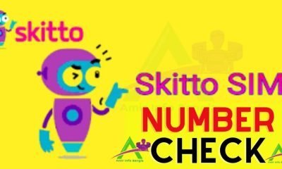 Skitto number check