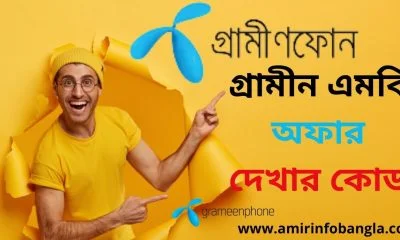 গ্রামীন এমবি অফার দেখার কোড