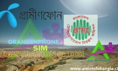 grameenphone sim registration check